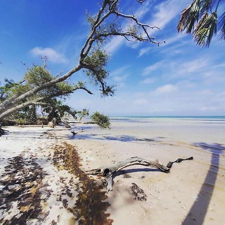 Tortuga Tillys Cape San Blas ภายนอก รูปภาพ