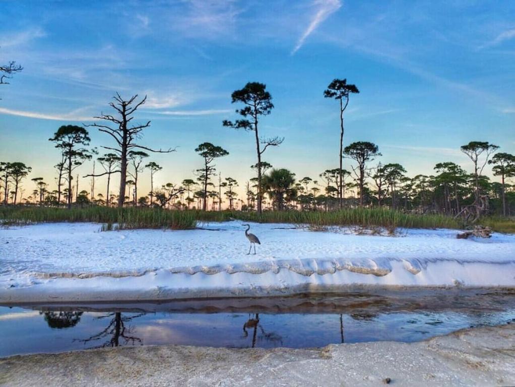 Tortuga Tillys Cape San Blas ภายนอก รูปภาพ